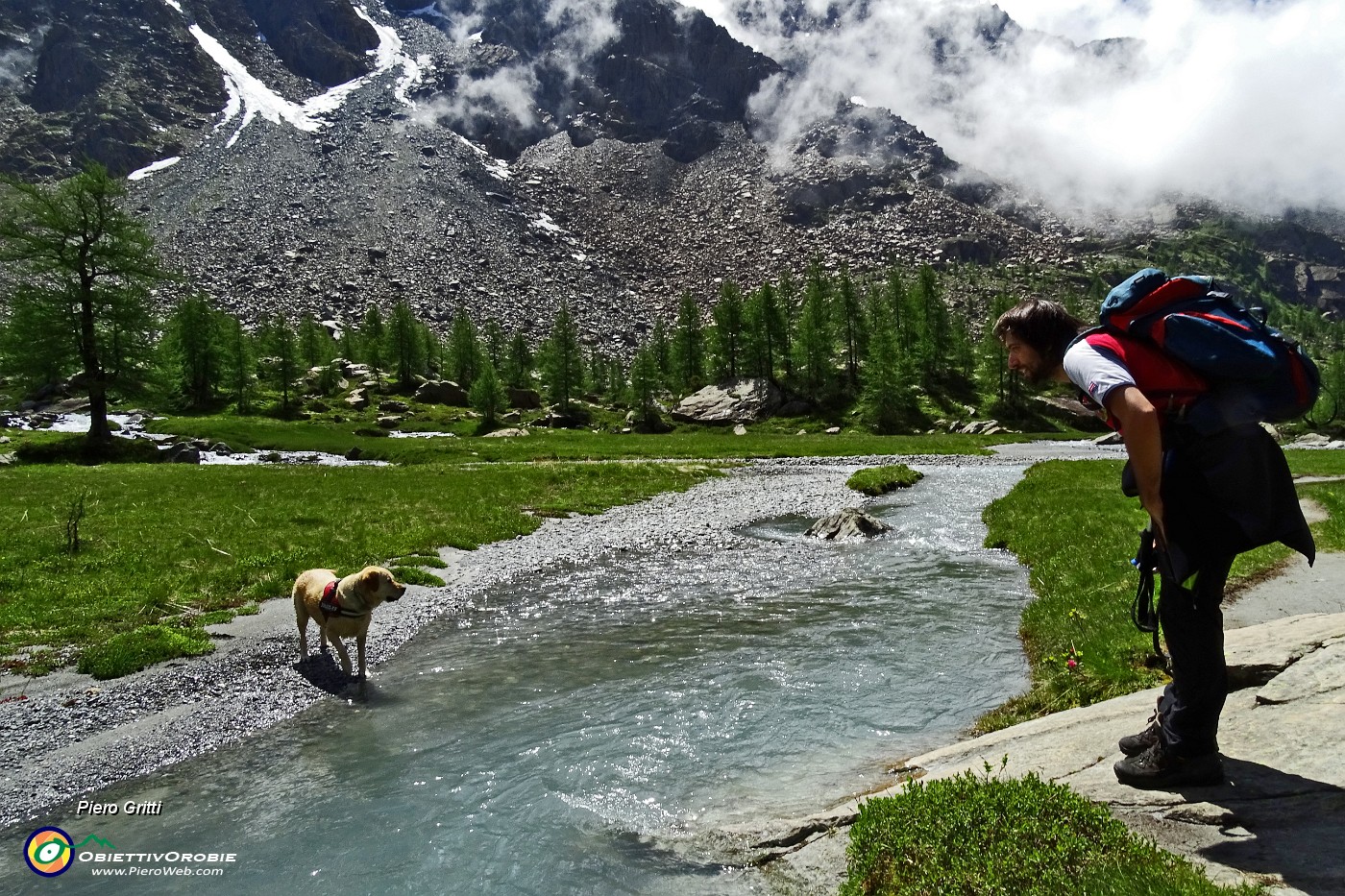 34 Gringo ...Labrador nel suo habitat !.JPG -                                